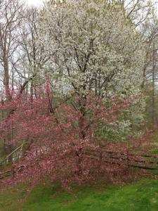 10177861_10203423196682319_2655426038570311619_n